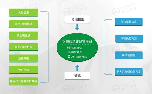 打造互聯網精準農業航空服務平臺的數據處理服務